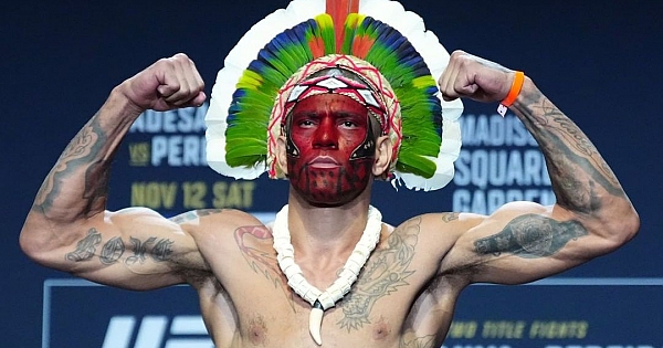 Os brasileiros escalados para o UFC 295: Prochazka x Pereira