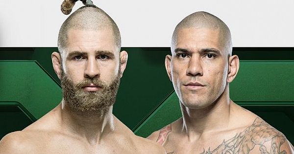 Os melhores palpites para o UFC 295: Prochazka x Pereira