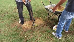 Dia de fúria! Goleiro do Fortaleza arranca gramado, e gera revolta