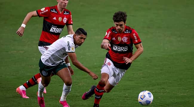 Palmeiras x Flamengo: Confira as prováveis escalações e saiba onde assistir