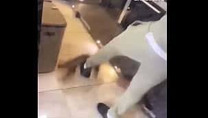 Zouma, do West Ham, agride gato e gera revolta; assista!