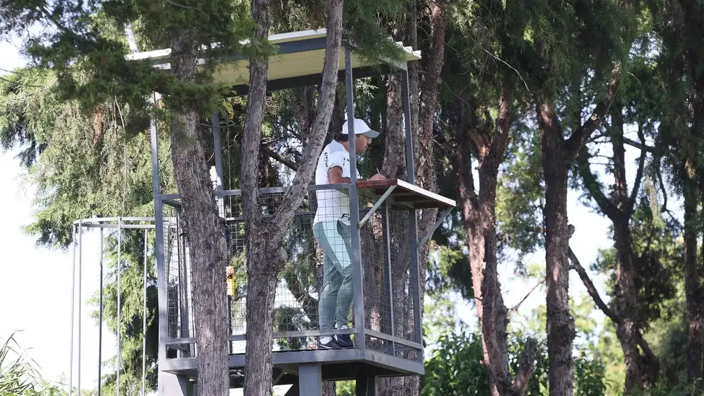 Atual bicampeão, Palmeiras vira a chave para a Copa Libertadores após vitória no Dérbi 