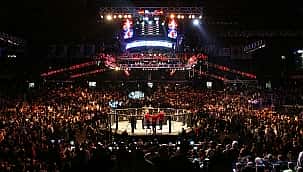 Como assistir o UFC ao vivo e online