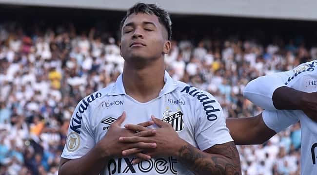 Marcos Leonardo marca, mas Santos empata com o Avaí