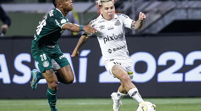 Palmeiras x Santos: prováveis escalações, desfalques e onde assistir