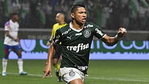 Botafogo-SP x Palmeiras: confira as prováveis escalações e onde assistir ao vivo