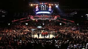 Como assistir o UFC ao vivo e online