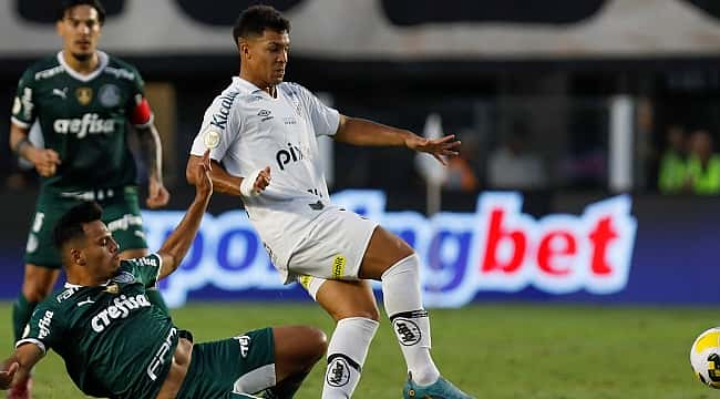 Santos x Palmeiras - Paulistão Feminino: onde assistir ao vivo