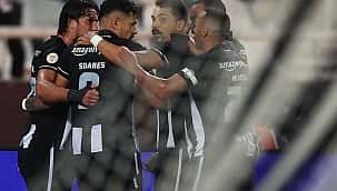 Botafogo x Magallanes: as prováveis escalações e onde assistir
