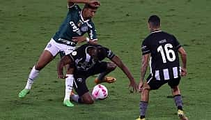 Brasileirão Série A: Palmeiras x Botafogo; onde assistir de graça e online