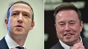 Como apostar na luta Mark Zuckerberg x Elon Musk