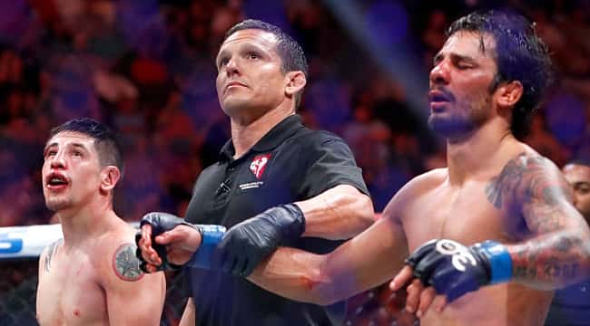 As melhores imagens do UFC 290
