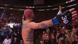 UFC 292: O'Malley nocauteia Sterling e é o novo campeão do peso-galo; confira os resultados