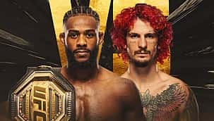 UFC 292: Sterling x O'Malley; favorito, palpite e como apostar