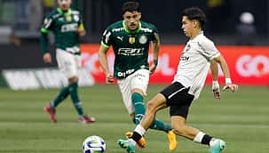 Botafogo x Palmeiras: onde assistir ao vivo grátis e prováveis escalações