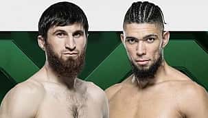 UFC 294: Ankalaev x Walker; palpite, favorito e como apostar