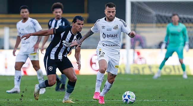 Botafogo x Grêmio: onde assistir ao vivo, horário e escalações do jogo pelo  Brasileirão