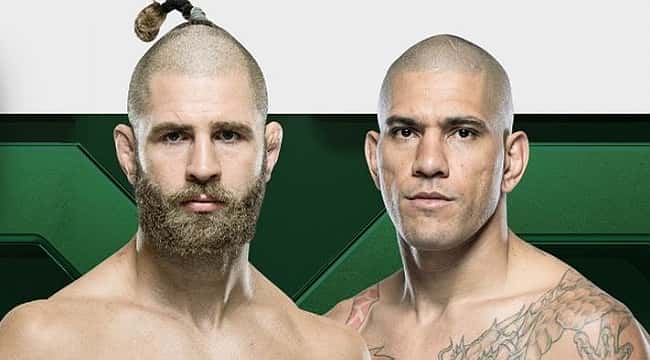 Os melhores palpites para o UFC 295