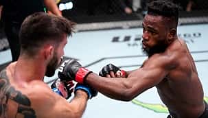 UFC Vegas 84: Nicolau x Kape 2; palpite, favorito e como apostar