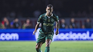 Palmeiras x Botafogo-SP: onde assistir ao vivo grátis e escalações