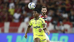 Palmeiras x Flamengo: onde assistir ao vivo grátis e escalações