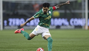 Vitória x Palmeiras: onde assistir ao vivo grátis e escalações